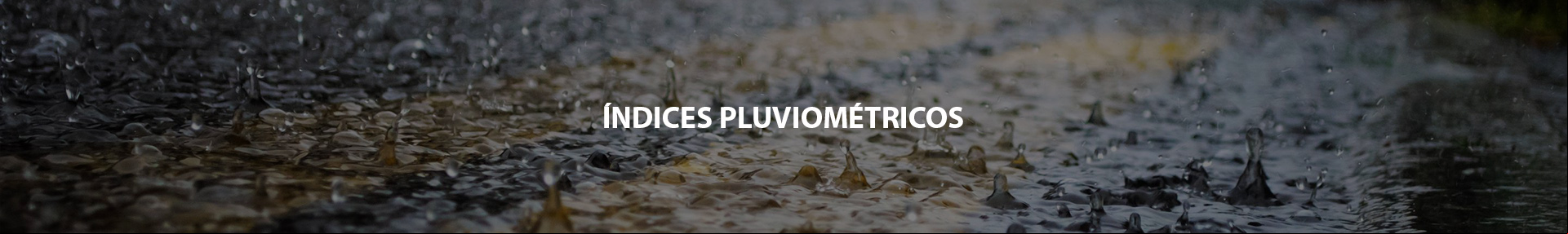 Banner dos Indices Pluviometricos