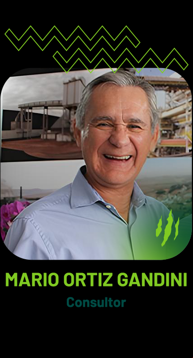Mario Ortiz Gandini