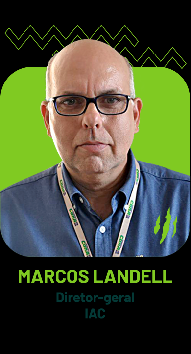 Marcos Guimarães de Andrade Landell