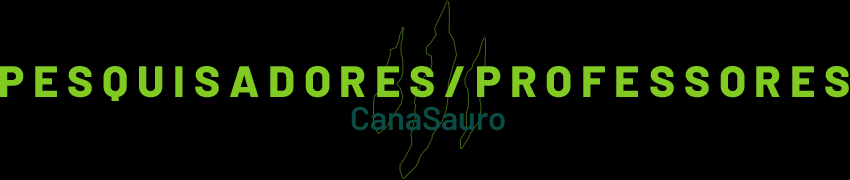 Pesquisadores/Professores